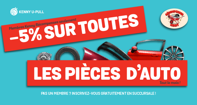 Chasse Aux Cocos dans la cour