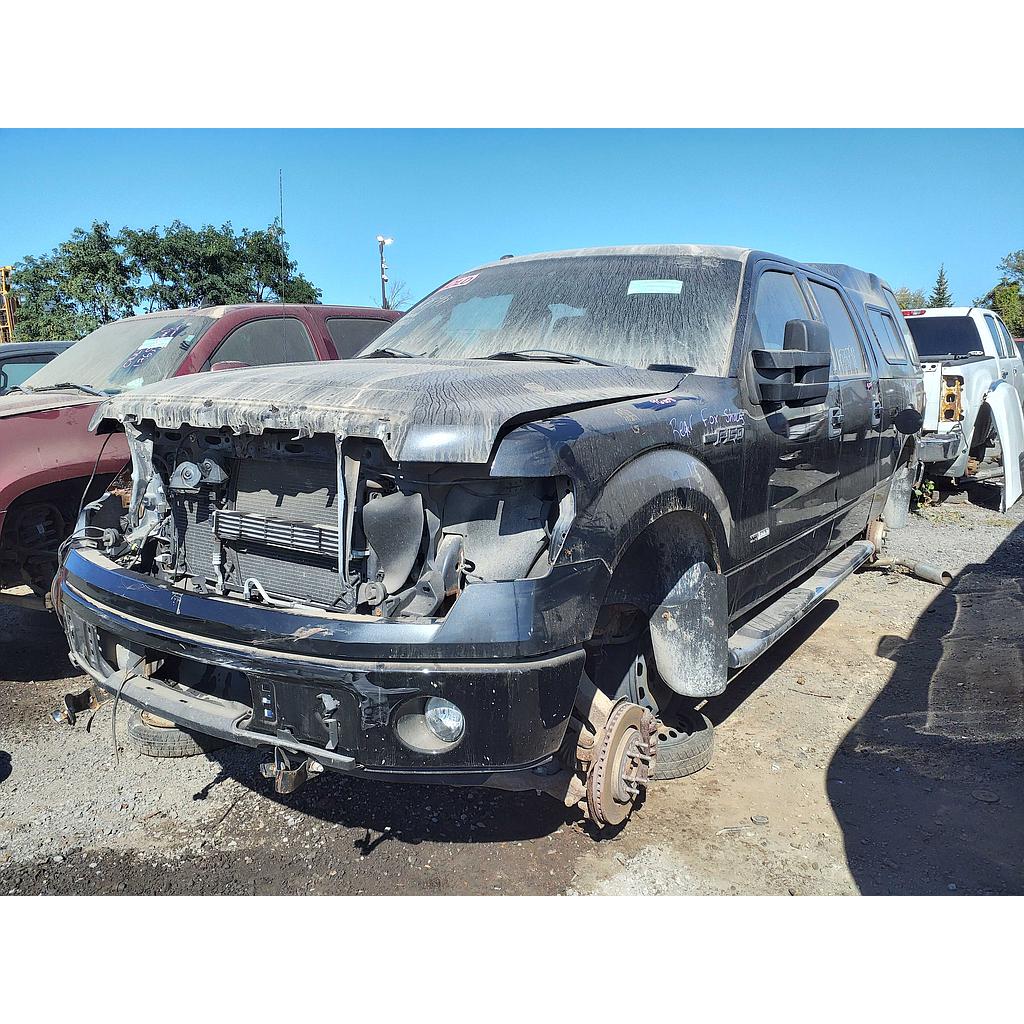 FORD F-150 2014